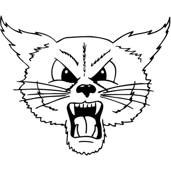 CAT20 Thumbnail