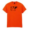 Heavy Cotton™ t-shirt Thumbnail