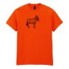 Heavy Cotton™ t-shirt Thumbnail
