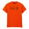 Heavy Cotton™ t-shirt Thumbnail