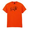 Heavy Cotton™ t-shirt Thumbnail