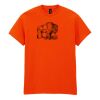 Heavy Cotton™ t-shirt Thumbnail