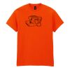 Heavy Cotton™ t-shirt Thumbnail