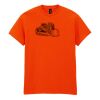 Heavy Cotton™ t-shirt Thumbnail