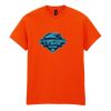 Heavy Cotton™ t-shirt Thumbnail