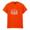 Heavy Cotton™ t-shirt Thumbnail