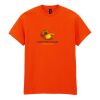 Heavy Cotton™ t-shirt Thumbnail