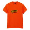 Heavy Cotton™ t-shirt Thumbnail