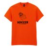 Heavy Cotton™ t-shirt Thumbnail