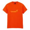 Heavy Cotton™ t-shirt Thumbnail